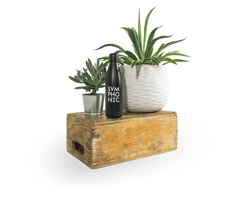 plants